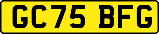 GC75BFG