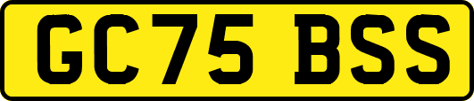 GC75BSS