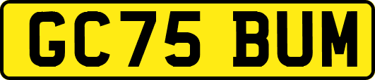 GC75BUM