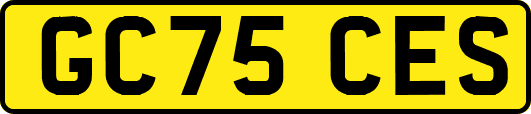 GC75CES