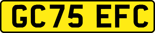 GC75EFC