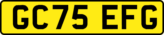 GC75EFG