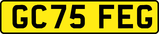 GC75FEG