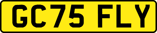 GC75FLY