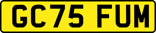 GC75FUM