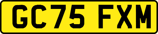 GC75FXM