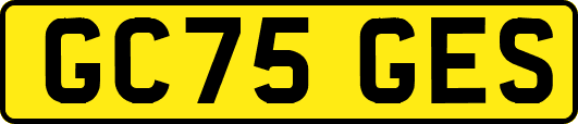 GC75GES