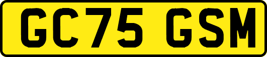 GC75GSM