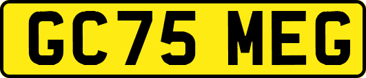 GC75MEG