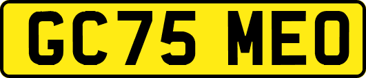 GC75MEO
