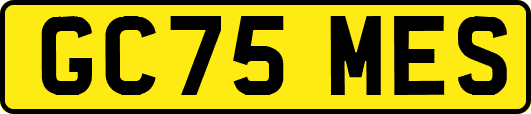 GC75MES
