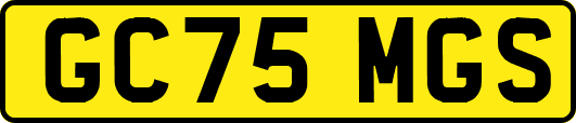 GC75MGS