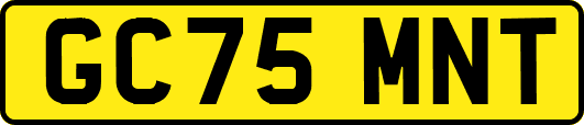 GC75MNT
