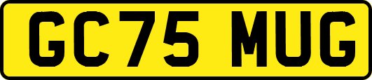 GC75MUG