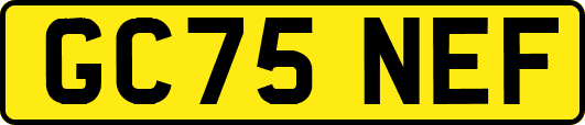 GC75NEF