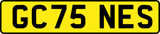GC75NES