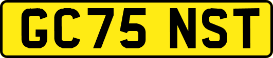 GC75NST