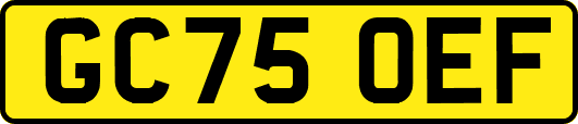 GC75OEF