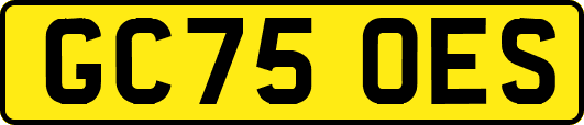 GC75OES