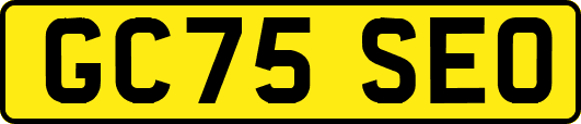 GC75SEO