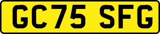 GC75SFG