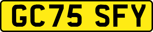 GC75SFY