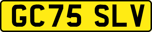 GC75SLV