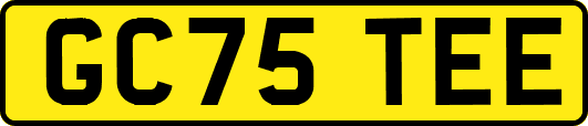 GC75TEE