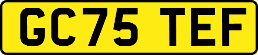 GC75TEF