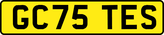 GC75TES