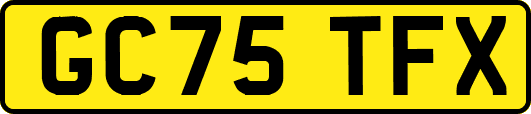 GC75TFX