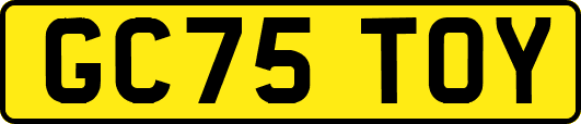 GC75TOY