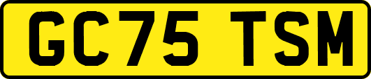 GC75TSM