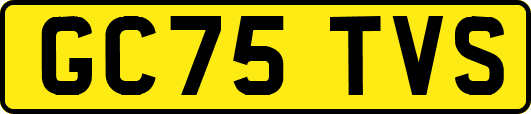 GC75TVS