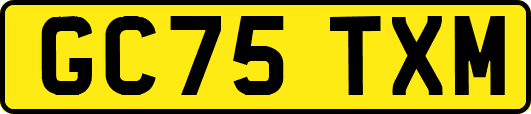 GC75TXM