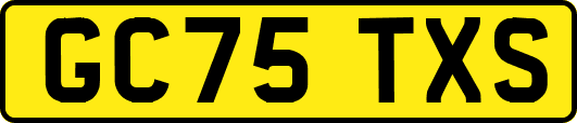GC75TXS