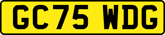 GC75WDG