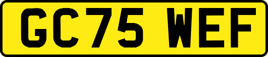 GC75WEF