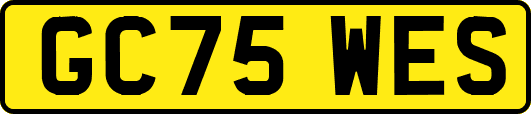 GC75WES