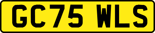 GC75WLS