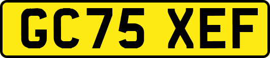 GC75XEF