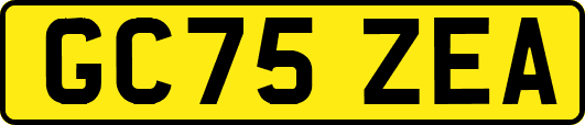 GC75ZEA