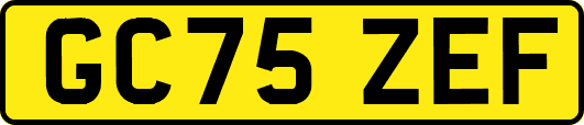 GC75ZEF
