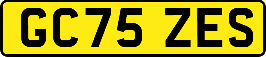 GC75ZES