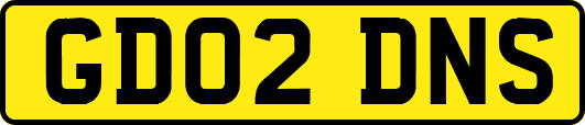 GD02DNS