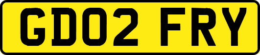 GD02FRY