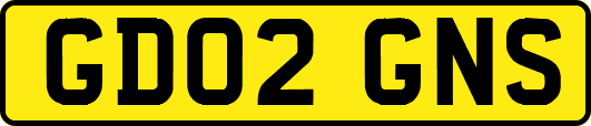 GD02GNS