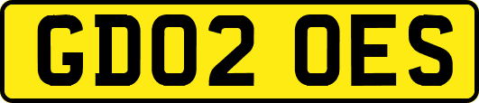 GD02OES