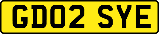 GD02SYE