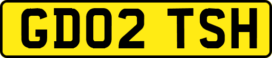 GD02TSH